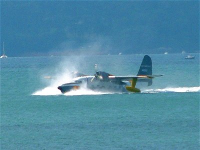 Albatross
