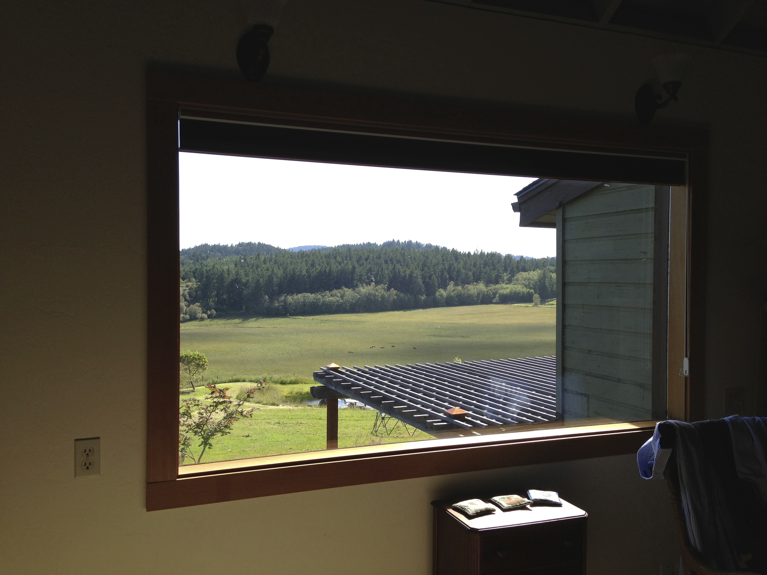 Guest Room View