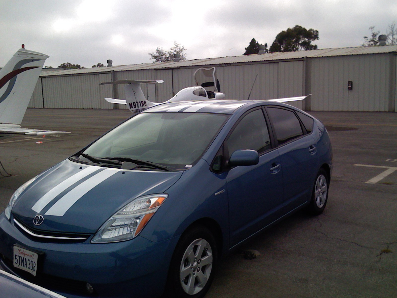 Shelby Prius