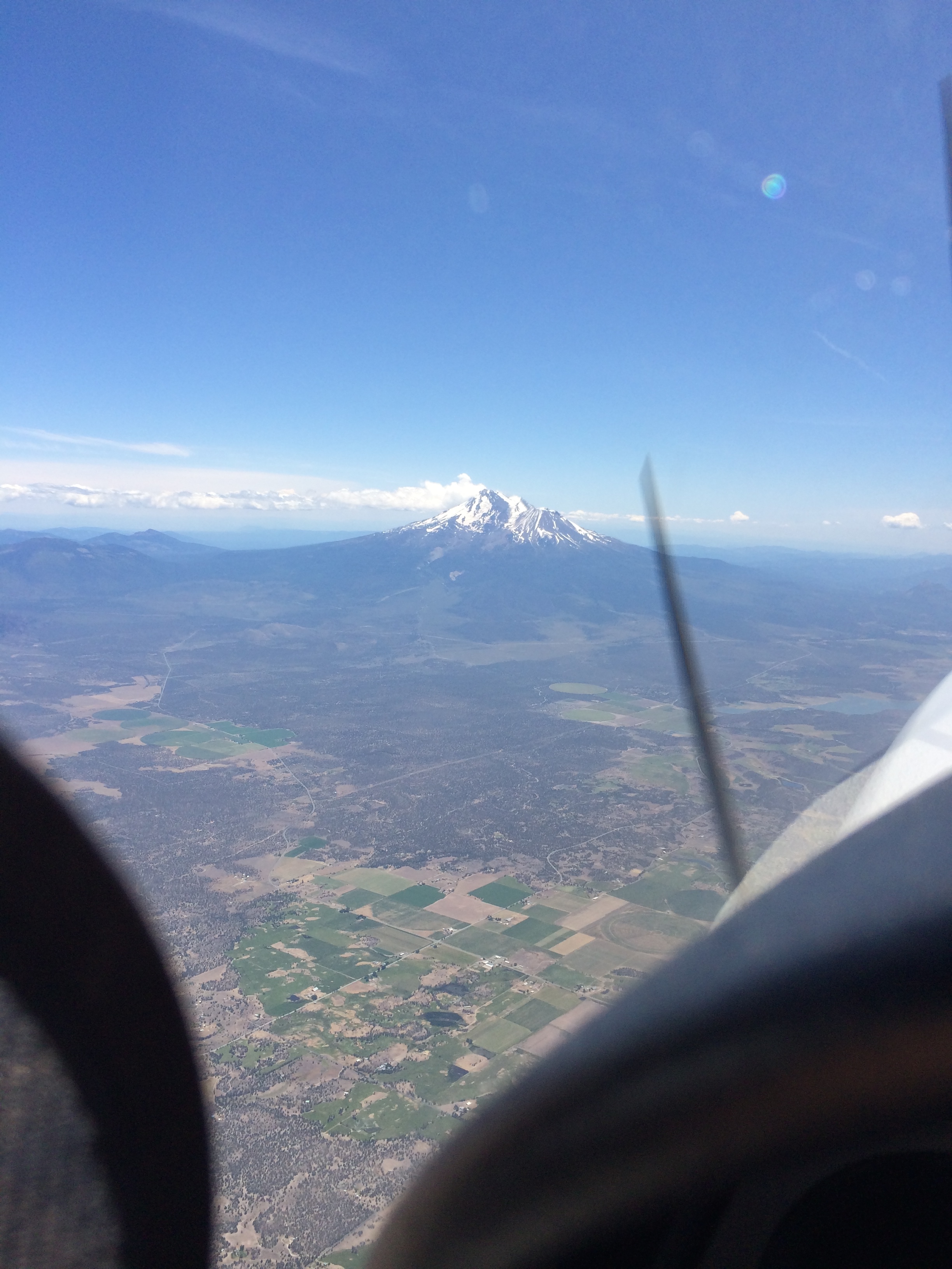 shasta